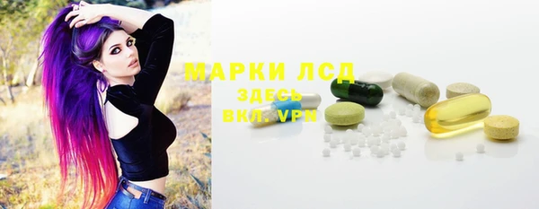 ECSTASY Липки