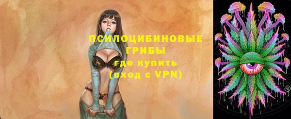 ECSTASY Липки