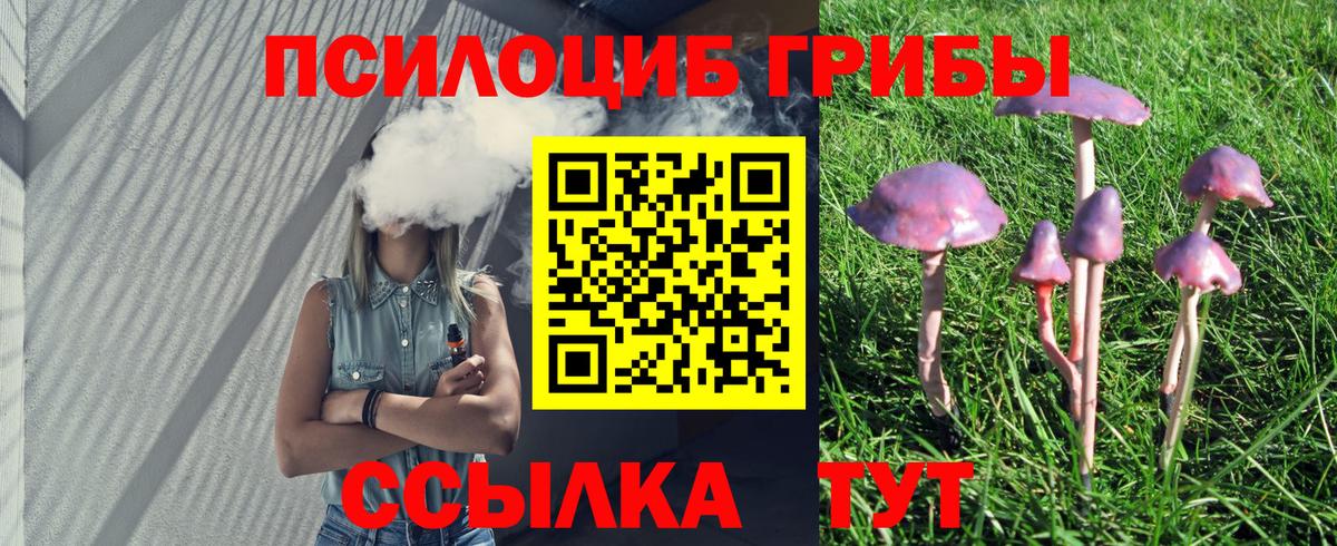 Галлюциногенные грибы прущие грибы Мегион