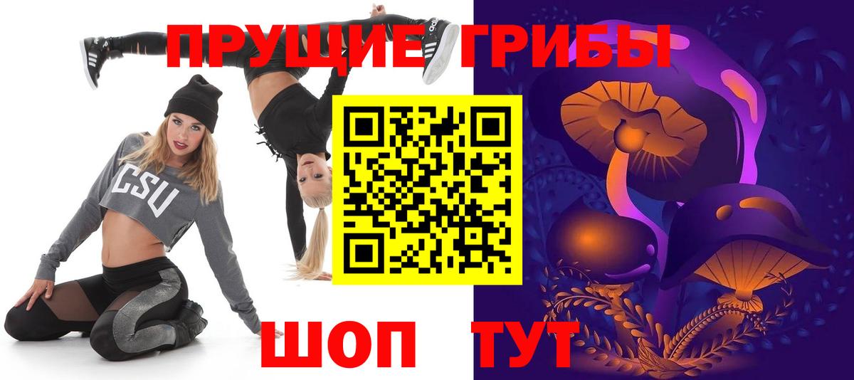 Мегион  где можно купить наркотик  Вход с VPN  Псилоцибиновые грибы Cubensis 